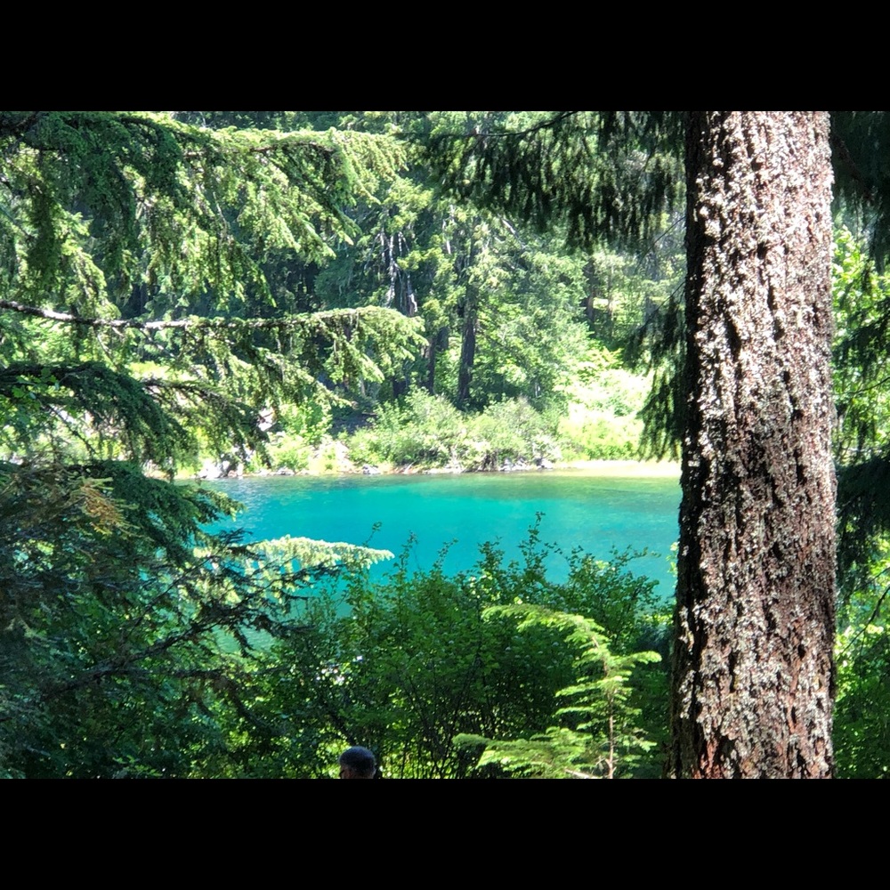 Meet your Posher, Dawn